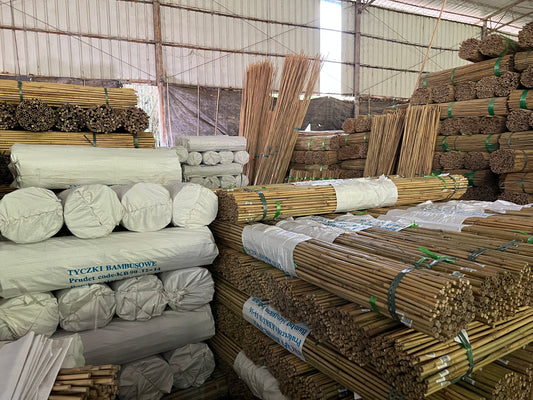 Raw materials of bamboo