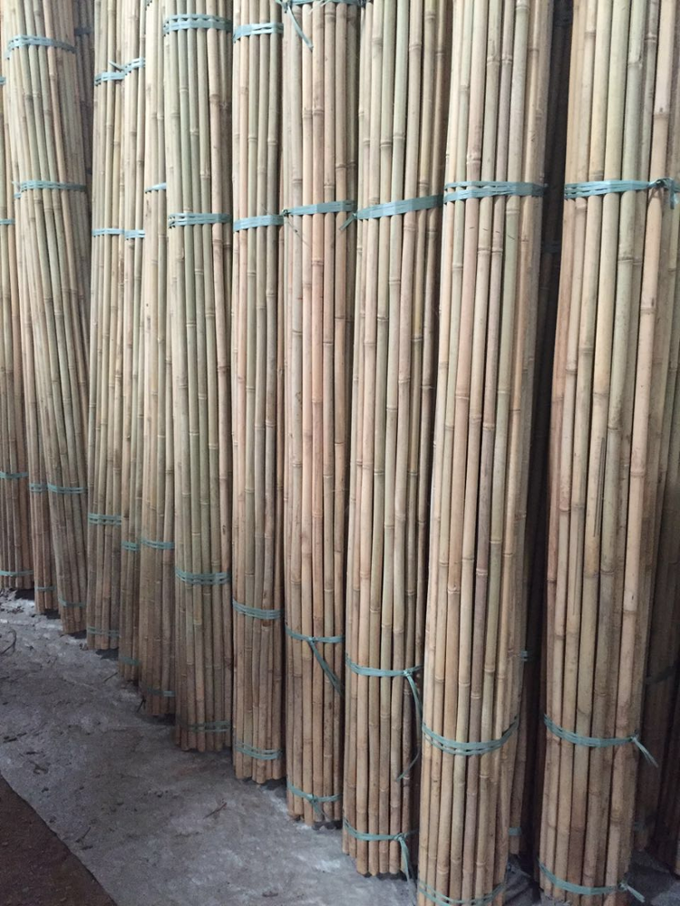 Hot Sales Natural Raw bamboo poles/canes/stakes