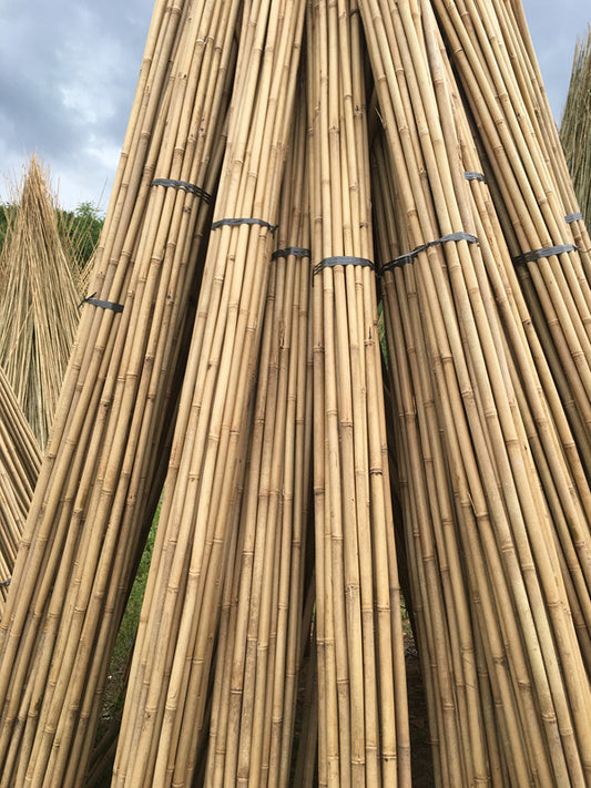 Ventes chaudes poteaux/cannes/piquets en bambou brut naturel