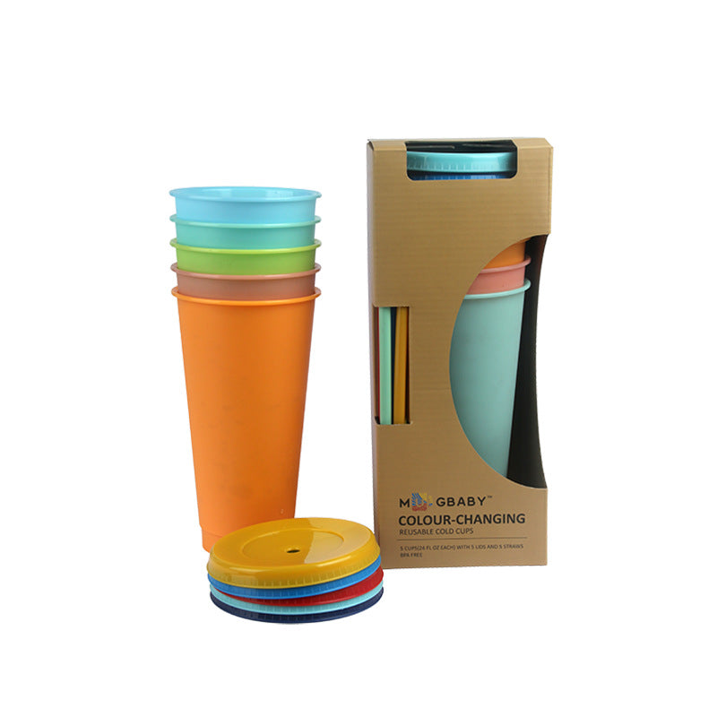 Wholesale 24oz Sustainable Plastic Straw Cup Hot Cold Temperature Sensitive Color Changing Cup with Lid and Straw