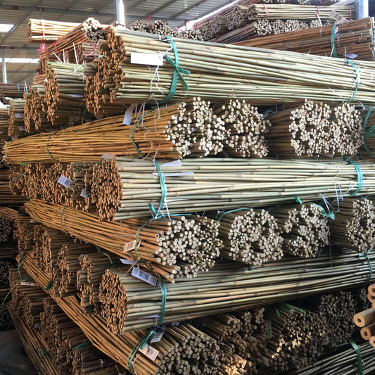 Heiße Verkäufe natürliche rohe Bambusstangen/Stöcke/Pfähle