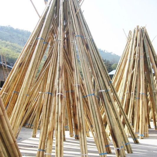 Behandelter Pflanzenstützstab aus Bambus. Behandelter künstlicher Blumenstützstab aus gelbem Zuckerrohr 